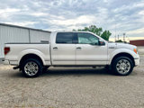Used 2010 Ford F150 Platinum image 5