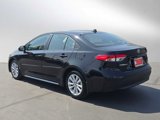 Certified 2024 Toyota Corolla LE image 5
