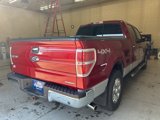 Used 2013 Ford F150 XLT w/ Luxury Equipment Group image 4