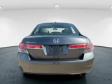 Used 2011 Honda Accord EX-L image 5