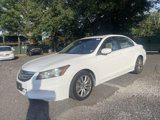 Used 2012 Honda Accord EX image 3
