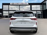 New 2024 INFINITI QX50 Luxe image 5