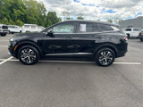 Used 2023 Kia Sportage EX image 5