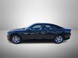 Used 2022 Dodge Charger SXT w/ Leather Interior Group image 2