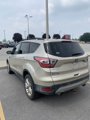 Used 2017 Ford Escape SE w/ SE Leather Comfort Package image 2