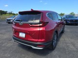 Certified 2020 Honda CR-V EX image 4