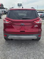 Used 2014 Ford Escape SE w/ Equipment Group 201A image 3