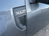 New 2024 Ford Maverick XLT w/ XLT Luxury Package image 4