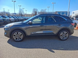 Certified 2020 Ford Escape SEL image 6