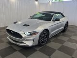 Used 2018 Ford Mustang Premium image 2