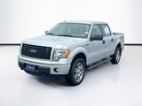 Used 2014 Ford F150 STX w/ Equipment Group 201A Mid image 3