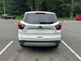 Used 2019 Ford Escape SE image 6
