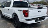 New 2025 Ford F150 STX w/ STX Black Appearance Package image 6