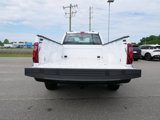 New 2024 Ford F150 XL image 5