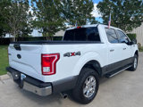 Used 2017 Ford F150 XLT w/ Equipment Group 302A Luxury image 3