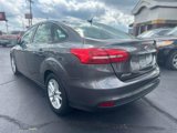 Used 2015 Ford Focus SE w/ Interior Protection Package image 4