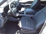 New 2024 Ford F150 XLT w/ Equipment Group 302A MID image 4