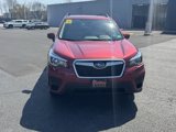 Used 2020 Subaru Forester Premium image 2