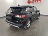 Used 2020 Ford Escape SE image 4