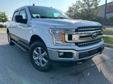 Used 2019 Ford F150 XLT w/ Equipment Group 302A Luxury image 2