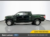Used 2014 Ford F150 XLT w/ Equipment Group 302A Luxury image 4