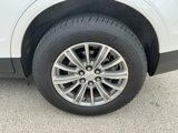 Used 2019 Cadillac XT5 Premium Luxury image 5