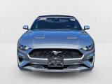 Used 2022 Ford Mustang Premium image 2