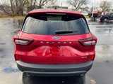 New 2025 Ford Escape ST-Line w/ Tech Pack #1 image 6
