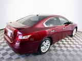 Used 2009 Nissan Maxima 3.5 SV w/ Premium Pkg image 4