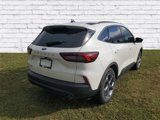 New 2025 Ford Escape ST-Line w/ Tech Pack #1 image 2