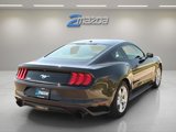Used 2019 Ford Mustang Coupe image 5