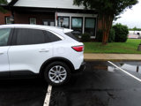 Used 2020 Ford Escape SE image 4