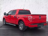 Used 2014 Ford F150 STX w/ Equipment Group 201A Mid image 5