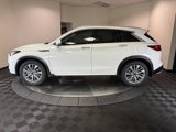 New 2025 INFINITI QX50 Luxe image 4