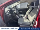 Certified 2016 Ford Escape SE image 6