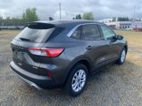 Used 2020 Ford Escape SE image 3