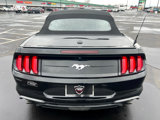 Used 2019 Ford Mustang Premium image 6