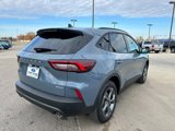 New 2025 Ford Escape ST-Line w/ Tech Pack #1 image 5