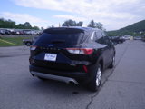 Certified 2022 Ford Escape SE w/ Convenience Package image 6