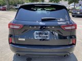 Used 2024 Ford Escape ST-Line w/ Tech Pack #1 image 6