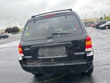 Used 2004 Ford Escape Limited image 6