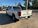 New 2024 Ford F150 XLT w/ Equipment Group 302A MID image 4