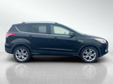 Used 2015 Ford Escape Titanium image 4