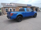 Used 2012 Ford F150 FX4 w/ FX Plus Pkg image 6