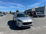 Used 2020 Ford Escape SE image 2
