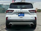 Used 2020 Ford Escape SE image 3