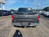 Used 2016 Ford F150 XLT w/ Equipment Group 301A Mid image 6