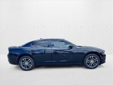 Used 2019 Dodge Charger SXT w/ Driver Confidence Group image 4