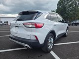 Used 2020 Ford Escape SE image 5