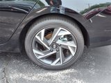 New 2025 Hyundai Elantra SEL image 4